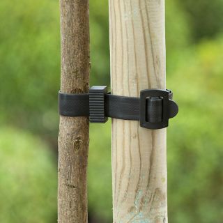 Baumband-mit-Schnalle-45-cm-nature